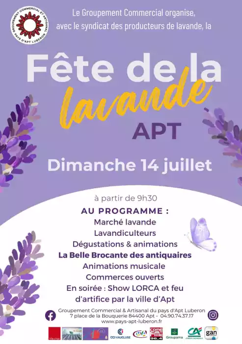 Affiche de la fete de la lavande en pays d'apt 2024