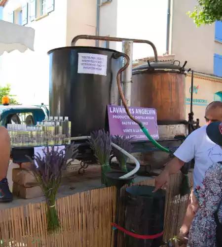 Distillation de lavande à Valensole (04)