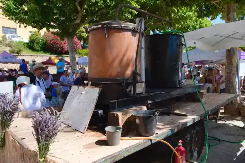 Alambic et distillation pour le fête de la lavande de Valensole (04)