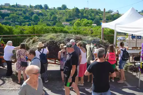 Distribution de lavande pour la fête de la lavande de Valensole