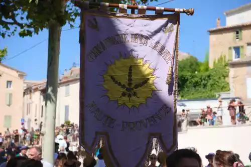 Commanderie de la lavande à Valensole (04) en 2023