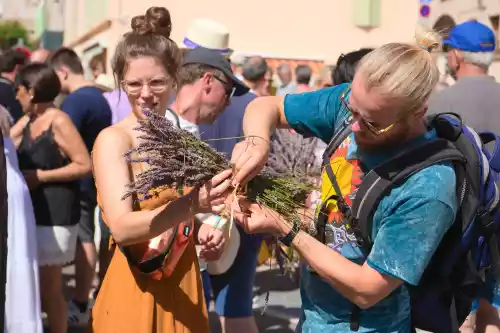 Fête de la lavande de Valensole en 2023