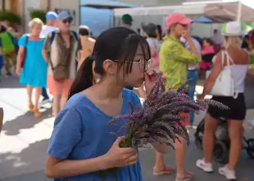 Jeune fille et son bouquet de Lavande à Valensole (04)