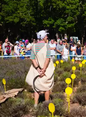 un participant au championnat de france 2018 de coupe à la faucille de Sault