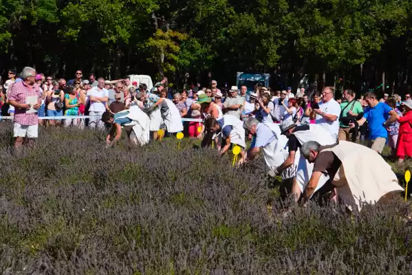 championnat de france professionnel 2018 de coupe à la faucille de Sault